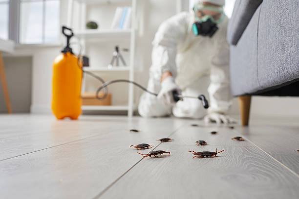 Trusted Fumigation Services service in Lakewood, CA - Nex Pest Control