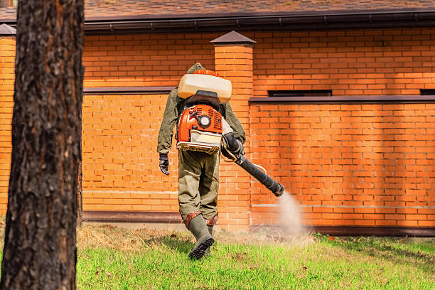 Trusted Rodent Control service in Lakewood, CA - Nex Pest Control